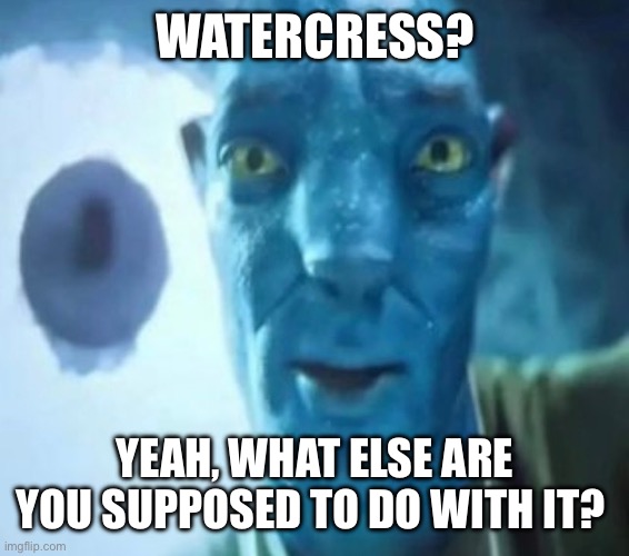 To go in my egg sandwich | WATERCRESS? YEAH, WHAT ELSE ARE YOU SUPPOSED TO DO WITH IT? | image tagged in avatar guy | made w/ Imgflip meme maker
