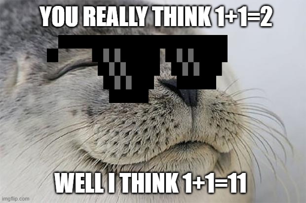 ora farm or no? | YOU REALLY THINK 1+1=2; WELL I THINK 1+1=11 | image tagged in memes,satisfied seal | made w/ Imgflip meme maker