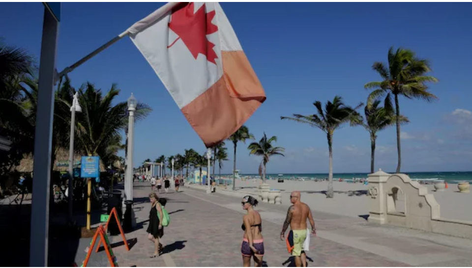Canada snowbirds Blank Meme Template