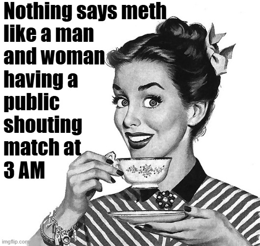 Through the Looking Glass | Nothing says meth
like a man
and woman
having a
public
shouting
match at
3 AM | image tagged in retro woman teacup,meth | made w/ Imgflip meme maker