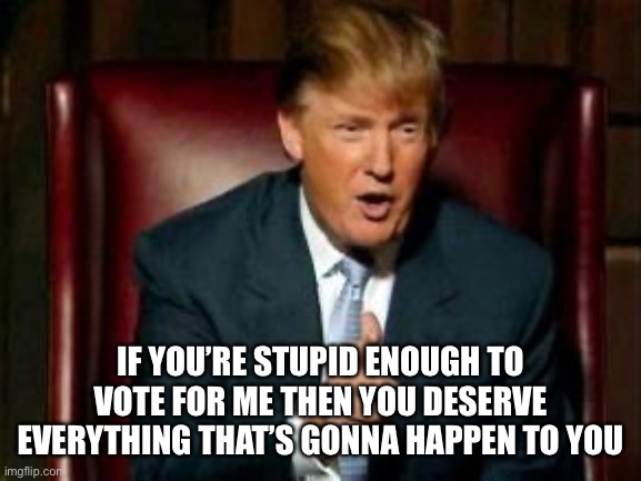 Donald Trump | IF YOU’RE STUPID ENOUGH TO VOTE FOR ME THEN YOU DESERVE EVERYTHING THAT’S GONNA HAPPEN TO YOU | image tagged in donald trump | made w/ Imgflip meme maker