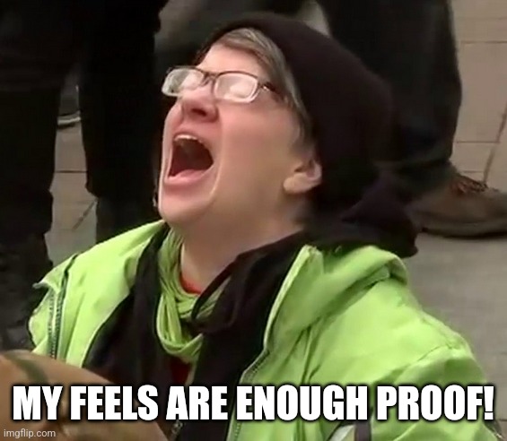 Crying liberal | MY FEELS ARE ENOUGH PROOF! | image tagged in crying liberal | made w/ Imgflip meme maker