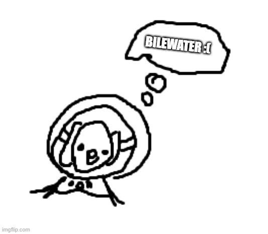 forgot about imgflip I can start silkposting about the actual game now | BILEWATER :( | image tagged in what's para thinking about | made w/ Imgflip meme maker