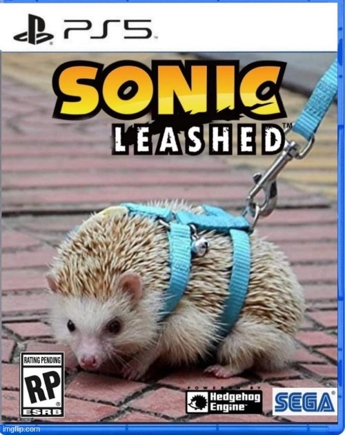 Sanic; leAshed | made w/ Imgflip meme maker