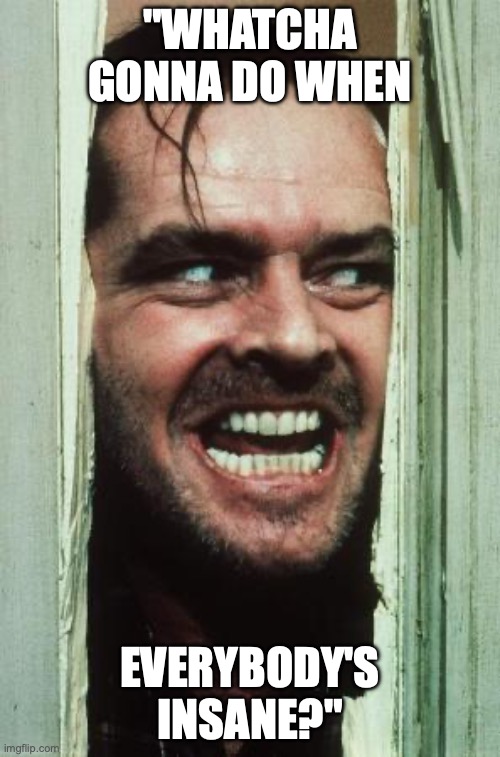 Here's Johnny Meme | "WHATCHA GONNA DO WHEN; EVERYBODY'S INSANE?" | image tagged in memes,here's johnny | made w/ Imgflip meme maker