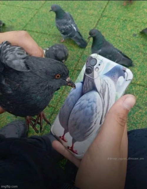 image tagged in shitpost | made w/ Imgflip meme maker