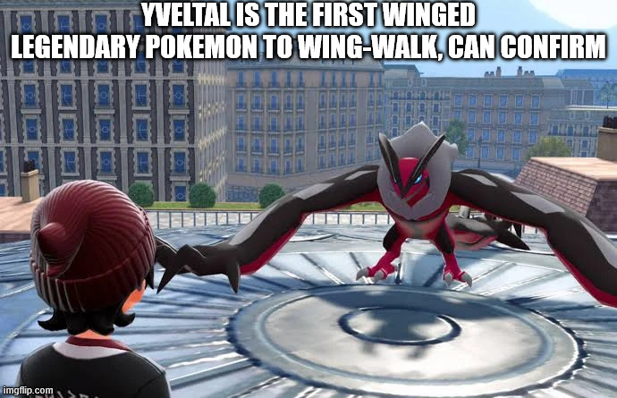 This expands my love for this red birb even more | YVELTAL IS THE FIRST WINGED LEGENDARY POKEMON TO WING-WALK, CAN CONFIRM | image tagged in pokemon | made w/ Imgflip meme maker