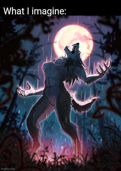 What I imagine: | made w/ Imgflip meme maker