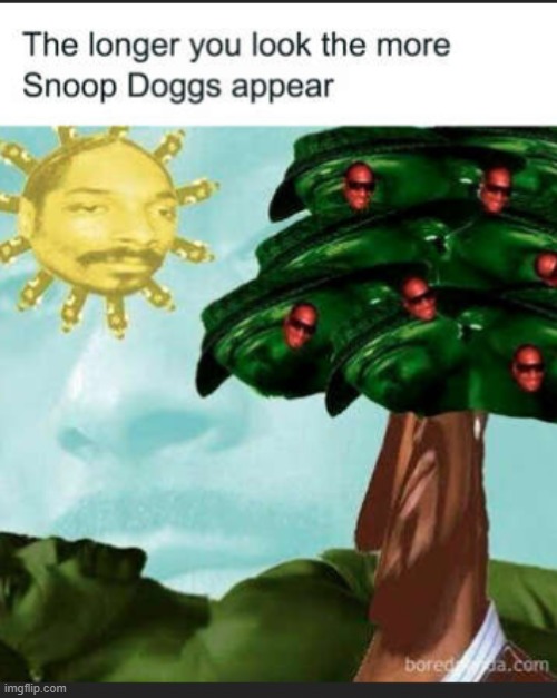 I don't know who made this...But I'm glad they exist | image tagged in snoop dog | made w/ Imgflip meme maker