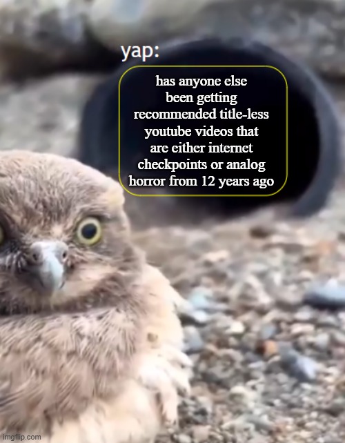 I'm going crazy | has anyone else been getting recommended title-less youtube videos that are either internet checkpoints or analog horror from 12 years ago | image tagged in parannouncements lazy | made w/ Imgflip meme maker