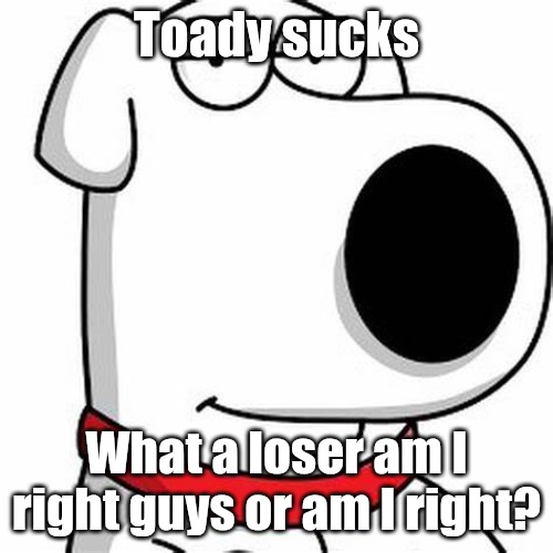 Brian Griffin Smug | Toady sucks; What a loser am I right guys or am I right? | image tagged in brian griffin smug | made w/ Imgflip meme maker