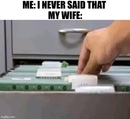 Me I Never Said That My Wife | ME: I NEVER SAID THAT 
MY WIFE: | image tagged in chris joines | made w/ Imgflip meme maker