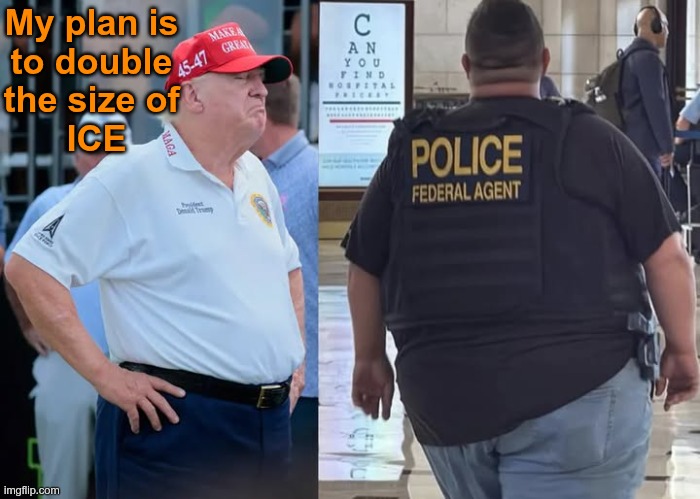Twice as ICE | My plan is 
to double 
the size of 
ICE | image tagged in maga | made w/ Imgflip meme maker