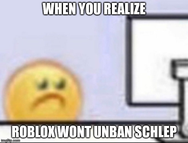 No free schlep? | WHEN YOU REALIZE; ROBLOX WONT UNBAN SCHLEP | image tagged in zad,roblox | made w/ Imgflip meme maker
