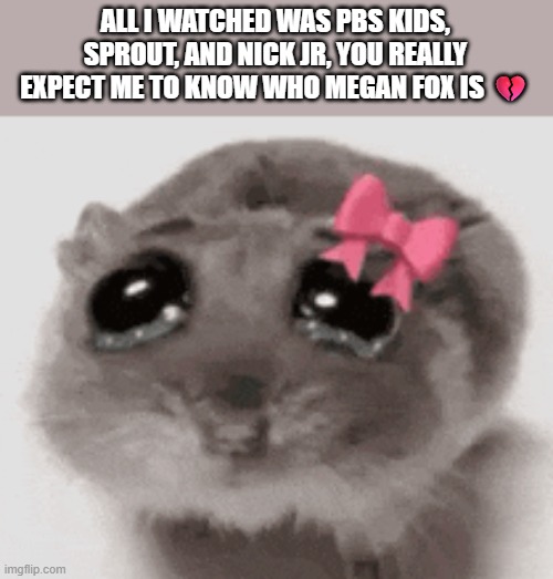sorry live action just wasn't it for childhood me | ALL I WATCHED WAS PBS KIDS, SPROUT, AND NICK JR, YOU REALLY EXPECT ME TO KNOW WHO MEGAN FOX IS 💔 | made w/ Imgflip meme maker