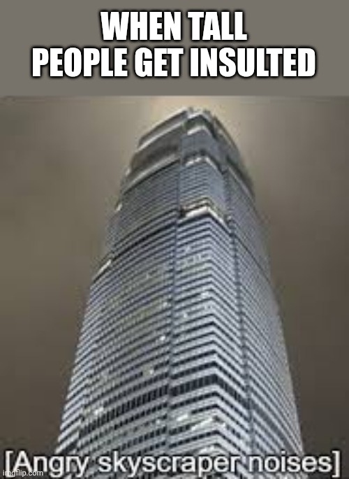 Angry skyscraper noises | WHEN TALL PEOPLE GET INSULTED | image tagged in angry skyscraper noises | made w/ Imgflip meme maker
