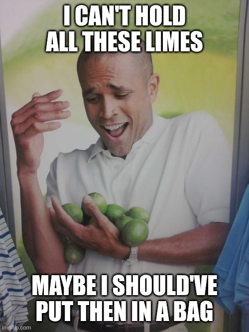Why Can't I Hold All These Limes Meme | I CAN'T HOLD ALL THESE LIMES; MAYBE I SHOULD'VE PUT THEN IN A BAG | image tagged in memes,why can't i hold all these limes | made w/ Imgflip meme maker