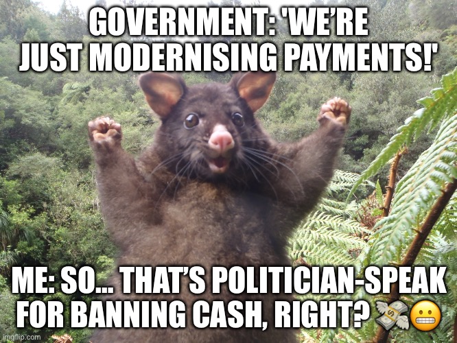 Chalmer's cash 'mandate' could spell the END of CASH | GOVERNMENT: 'WE’RE JUST MODERNISING PAYMENTS!'; ME: SO… THAT’S POLITICIAN-SPEAK FOR BANNING CASH, RIGHT? 💸😬 | image tagged in australian possum,meanwhile in australia,australia,cash,big government,orwellian | made w/ Imgflip meme maker