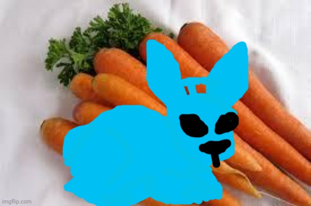 Rabbit | image tagged in carrots | made w/ Imgflip meme maker