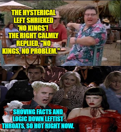If it's not even possible, leftists, then it's not a problem.  Next! | THE HYSTERICAL LEFT SHRIEKED 'NO KINGS'!  THE RIGHT CALMLY REPLIED, "NO KINGS, NO PROBLEM."; SHOVING FACTS AND LOGIC DOWN LEFTIST THROATS, SO HOT RIGHT NOW. | image tagged in see nobody cares | made w/ Imgflip meme maker