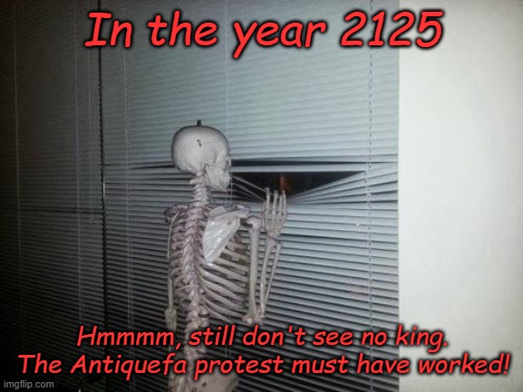 Right on! Far out, man! Tin soldiers and Nixon Comin' man. Still stickin' it to the Man! Steal This Book! | In the year 2125; Hmmmm, still don't see no king. The Antiquefa protest must have worked! | image tagged in skeleton looking out window | made w/ Imgflip meme maker