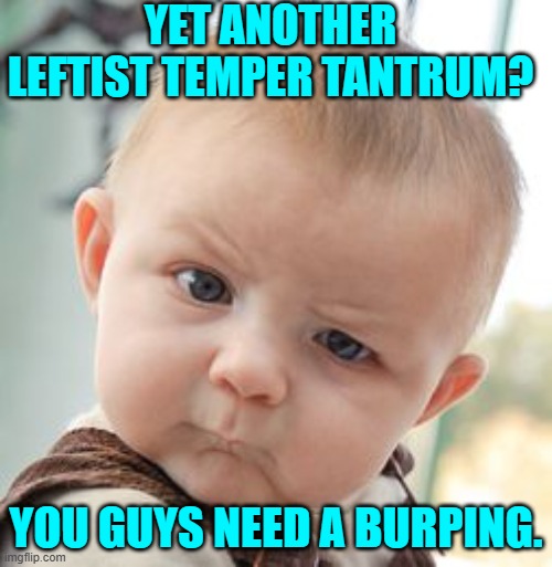 Maybe you moms just need to toss some Rolaids down your basement stairs. | YET ANOTHER LEFTIST TEMPER TANTRUM? YOU GUYS NEED A BURPING. | image tagged in skeptical baby | made w/ Imgflip meme maker