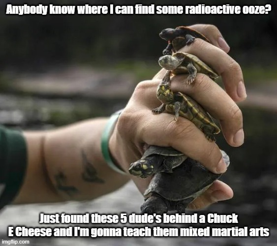 5 is better than 4 | Anybody know where I can find some radioactive ooze? Just found these 5 dude's behind a Chuck E Cheese and I'm gonna teach them mixed martial arts | image tagged in ninja,turtles,more better,ooze | made w/ Imgflip meme maker