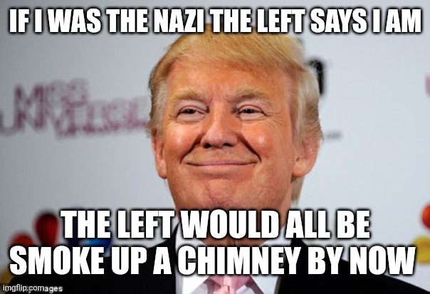 Donald trump approves | IF I WAS THE NAZI THE LEFT SAYS I AM; THE LEFT WOULD ALL BE SMOKE UP A CHIMNEY BY NOW | image tagged in donald trump approves | made w/ Imgflip meme maker