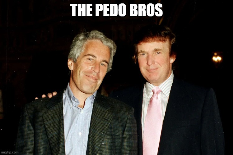 THE PEDO BROS | image tagged in donald trump and jeffrey epstein - pedo pals | made w/ Imgflip meme maker
