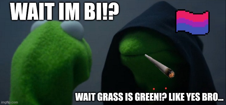 yes I am lol | WAIT IM BI!? WAIT GRASS IS GREEN!? LIKE YES BRO... | image tagged in memes,evil kermit | made w/ Imgflip meme maker
