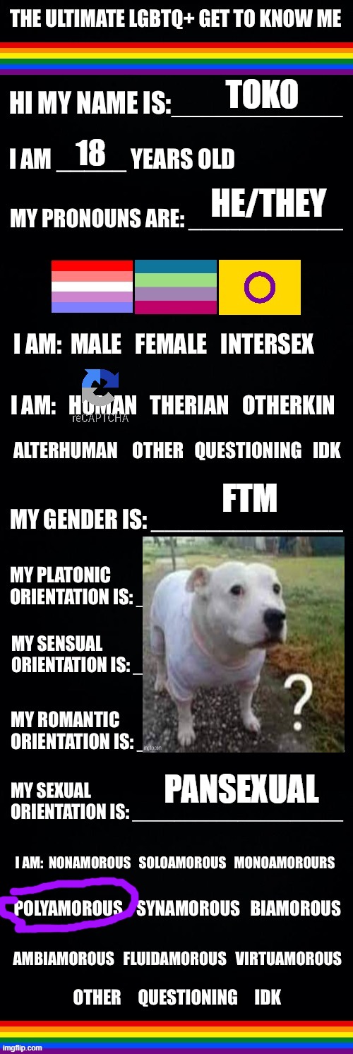 guh | TOKO; 18; HE/THEY; FTM; PANSEXUAL | image tagged in the ultimate lgbtq get to know me | made w/ Imgflip meme maker