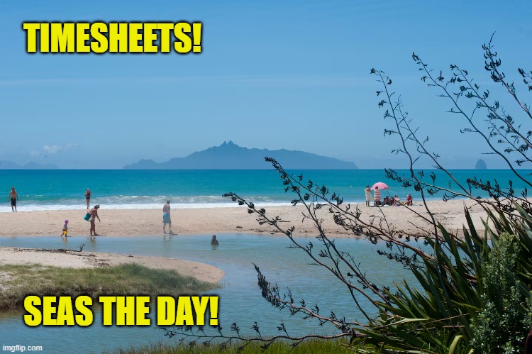 Seas the Day TImesheet Reminder | TIMESHEETS! SEAS THE DAY! | image tagged in timesheet reminder,timesheet meme,langs beach,memes | made w/ Imgflip meme maker