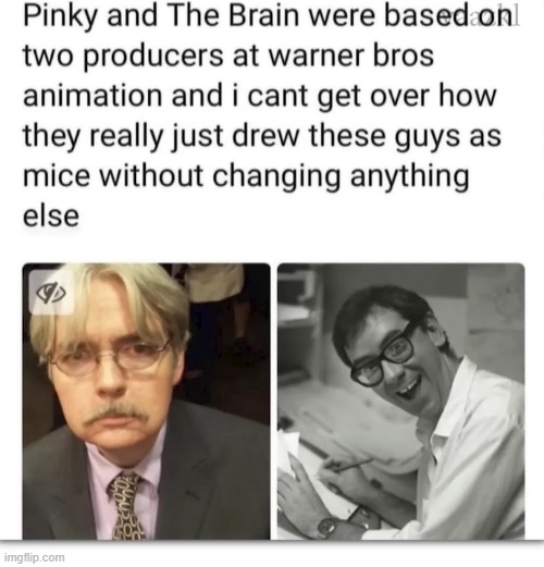 image tagged in pinky and the brain,producers,warner bros | made w/ Imgflip meme maker