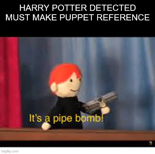 it's a pipe bomb! | HARRY POTTER DETECTED
MUST MAKE PUPPET REFERENCE | image tagged in it's a pipe bomb | made w/ Imgflip meme maker