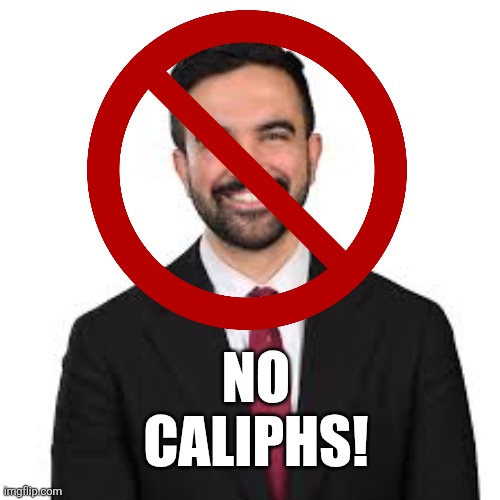 Mamdani dexter | NO
CALIPHS! | image tagged in mamdani dexter | made w/ Imgflip meme maker