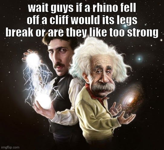 Nikola Tesla & Albert Einstein | wait guys if a rhino fell off a cliff would its legs break or are they like too strong | image tagged in nikola tesla albert einstein | made w/ Imgflip meme maker