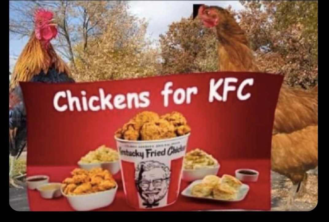 Chickens for KFC Blank Meme Template