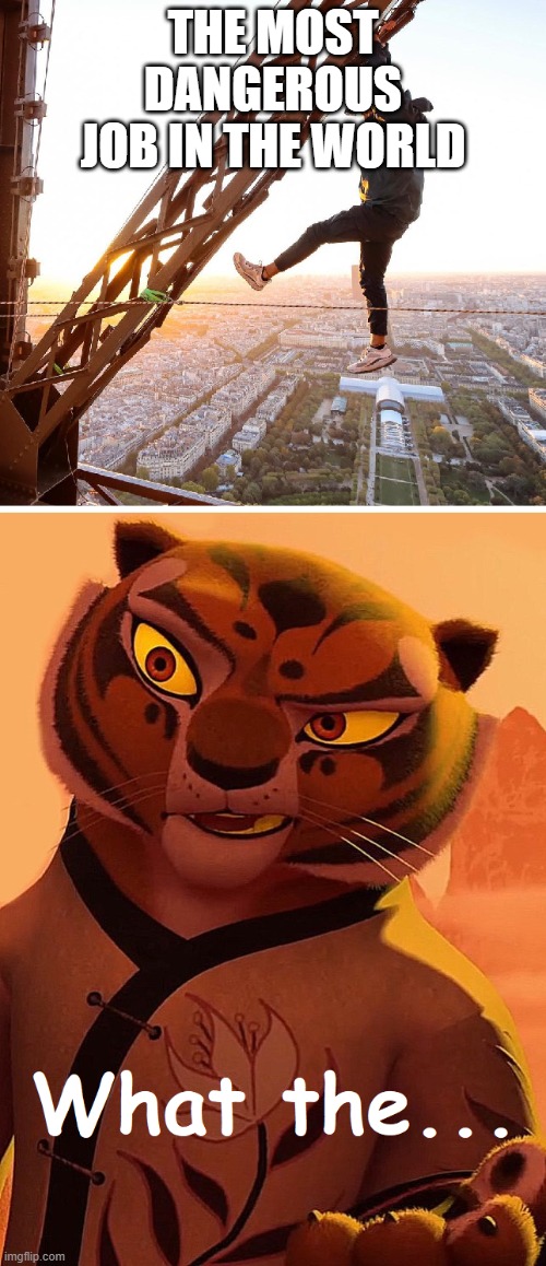 az első jel annak hogy valami fog kezdődni | THE MOST DANGEROUS JOB IN THE WORLD | image tagged in tigress | made w/ Imgflip meme maker