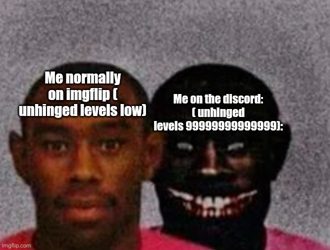 I'm a whole different person on discord | Me normally on imgflip ( unhinged levels low); Me on the discord: ( unhinged levels 99999999999999): | image tagged in good tyler and bad tyler | made w/ Imgflip meme maker