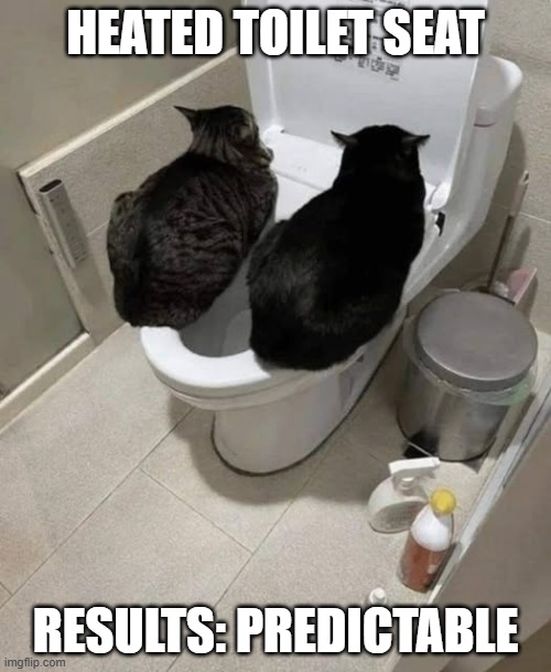 What did you think was going to happen? | HEATED TOILET SEAT; RESULTS: PREDICTABLE | image tagged in cats,toilet,cat loaf,standard issue cat,black cat,funny | made w/ Imgflip meme maker