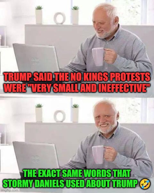 Small and ineffective | TRUMP SAID THE NO KINGS PROTESTS WERE "VERY SMALL AND INEFFECTIVE"; THE EXACT SAME WORDS THAT STORMY DANIELS USED ABOUT TRUMP 🤣 | image tagged in trump,gop,maga,nazis,fascists,no kings | made w/ Imgflip meme maker
