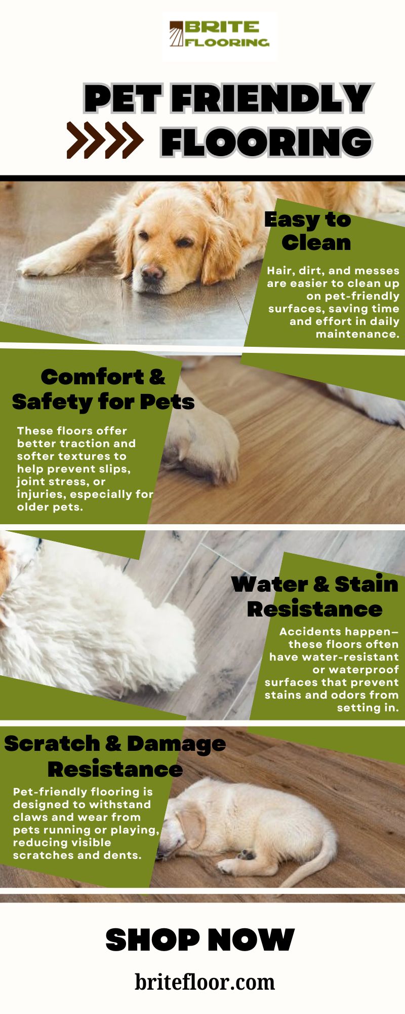 Pet Friendly Flooring Blank Meme Template