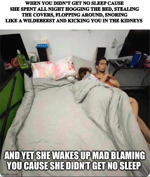 Bed | WHEN YOU DIDN’T GET NO SLEEP CAUSE SHE SPENT ALL NIGHT HOGGING THE BED, STEALING THE COVERS, FLOPPING AROUND, SNORING LIKE A WILDEBEEST AND KICKING YOU IN THE KIDNEYS; AND YET SHE WAKES UP MAD BLAMING YOU CAUSE SHE DIDN’T GET NO SLEEP | image tagged in fun | made w/ Imgflip meme maker