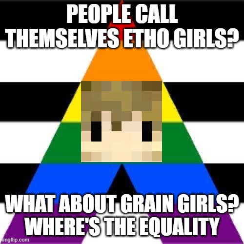 Grian | PEOPLE CALL THEMSELVES ETHO GIRLS? WHAT ABOUT GRAIN GIRLS?
WHERE'S THE EQUALITY | image tagged in grian | made w/ Imgflip meme maker