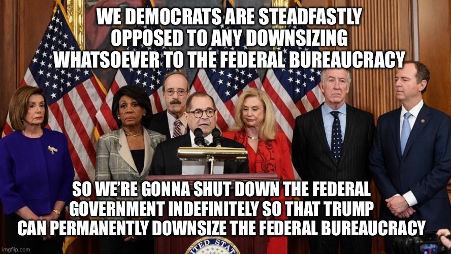House Democrats | WE DEMOCRATS ARE STEADFASTLY OPPOSED TO ANY DOWNSIZING WHATSOEVER TO THE FEDERAL BUREAUCRACY; SO WE’RE GONNA SHUT DOWN THE FEDERAL GOVERNMENT INDEFINITELY SO THAT TRUMP CAN PERMANENTLY DOWNSIZE THE FEDERAL BUREAUCRACY | image tagged in house democrats | made w/ Imgflip meme maker