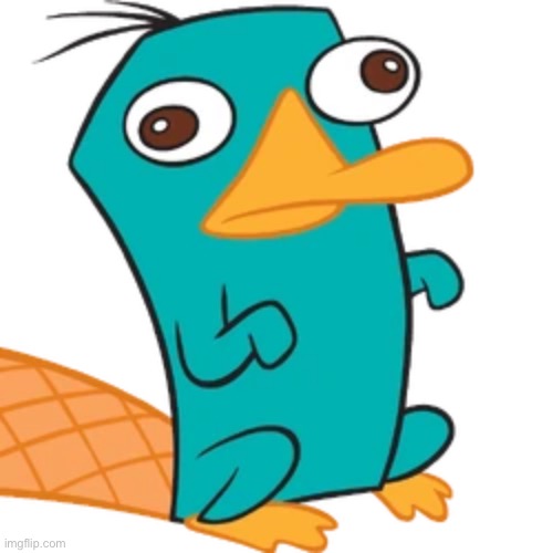 A completely ordinary platypus. | made w/ Imgflip meme maker