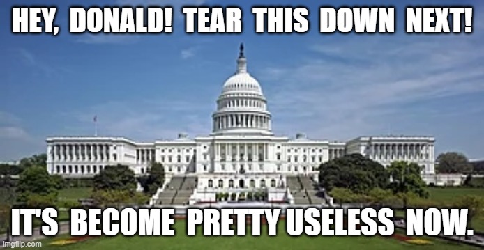 Even More Useless Architecture | HEY,  DONALD!  TEAR  THIS  DOWN  NEXT! IT'S  BECOME  PRETTY USELESS  NOW. | image tagged in maga | made w/ Imgflip meme maker