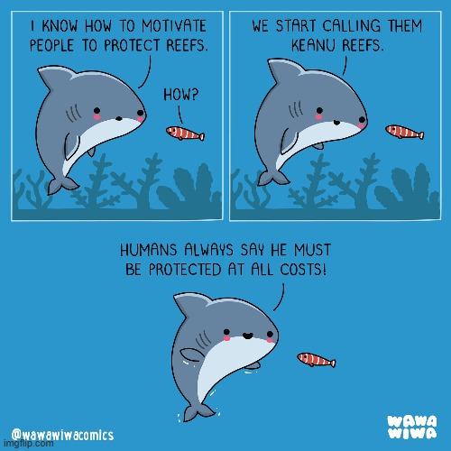 image tagged in shark,fish,protection,reefs,keanu reeves,pun | made w/ Imgflip meme maker