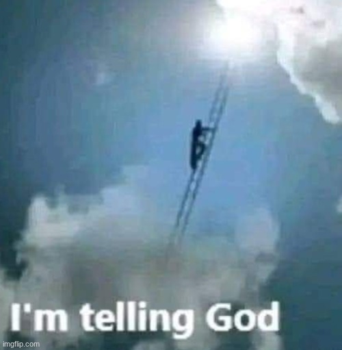 reaction iamge | image tagged in im telling god | made w/ Imgflip meme maker