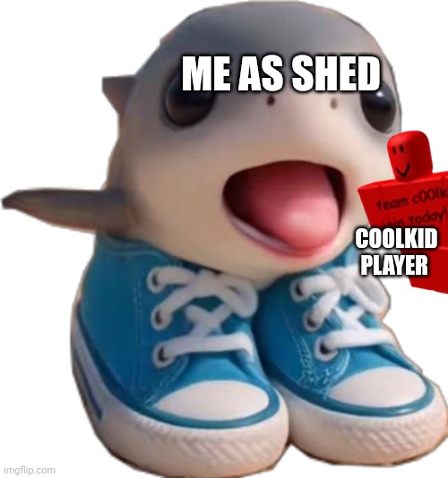 Los Tralalerito | ME AS SHED; COOLKID PLAYER | image tagged in los tralalerito | made w/ Imgflip meme maker